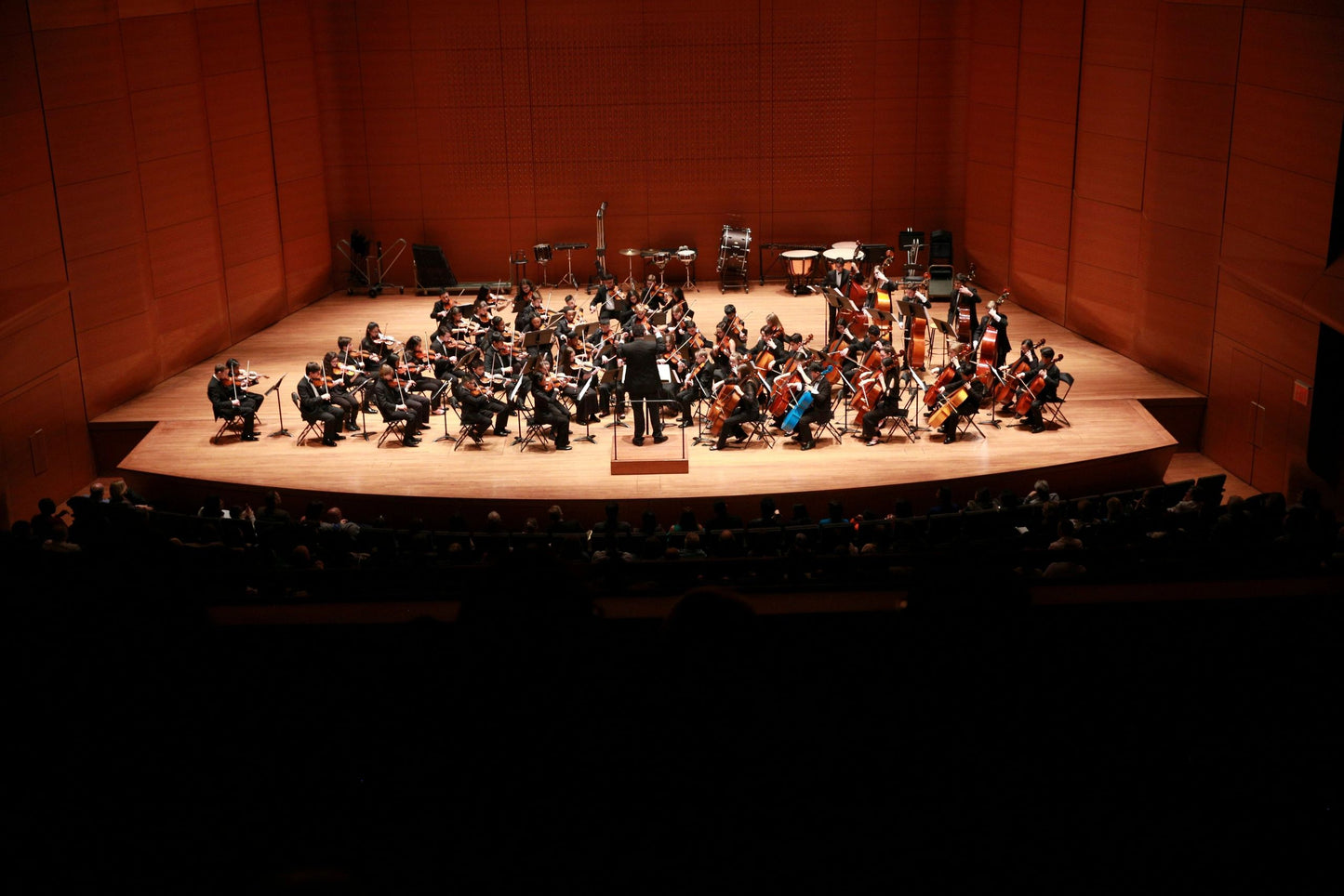 STRING ORCHESTRA