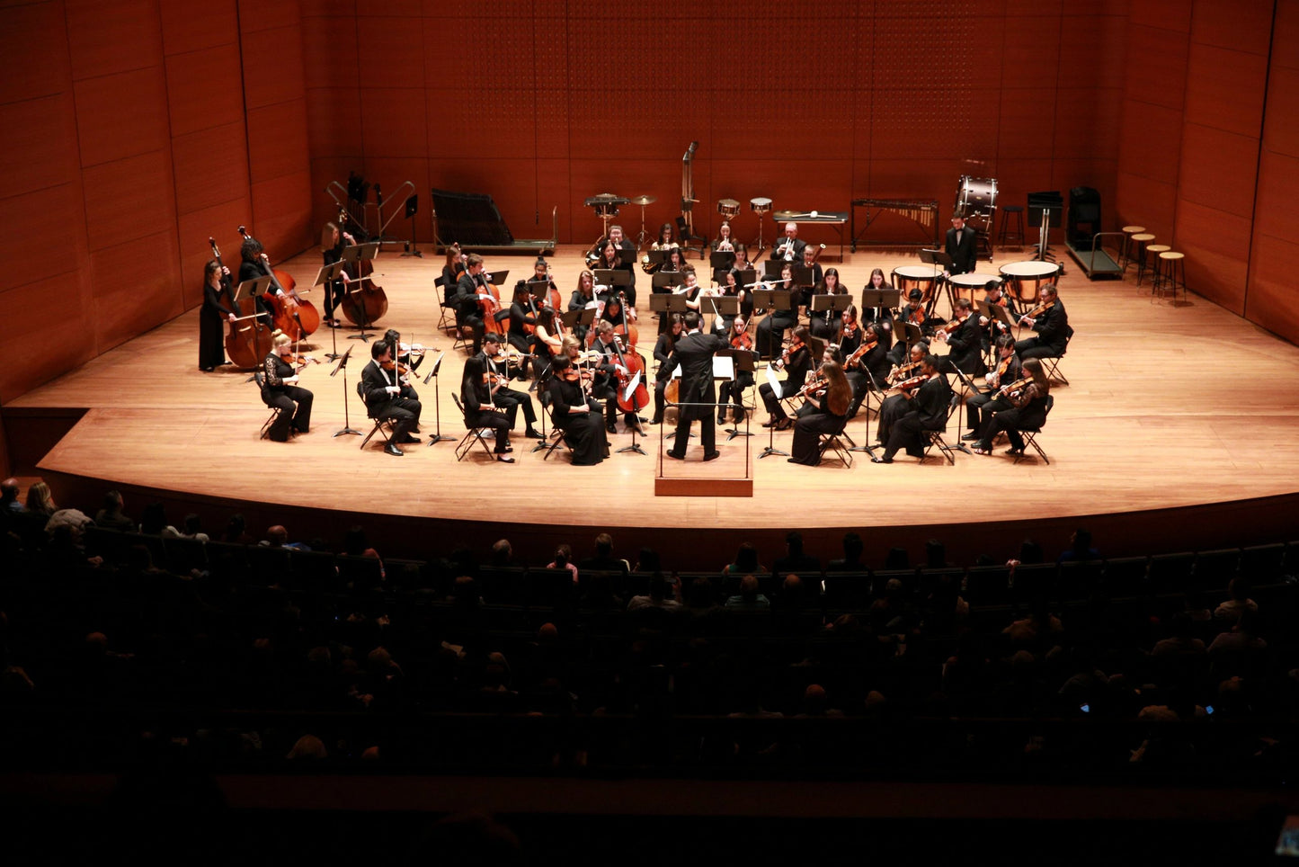 YOUTH SYMPHONY