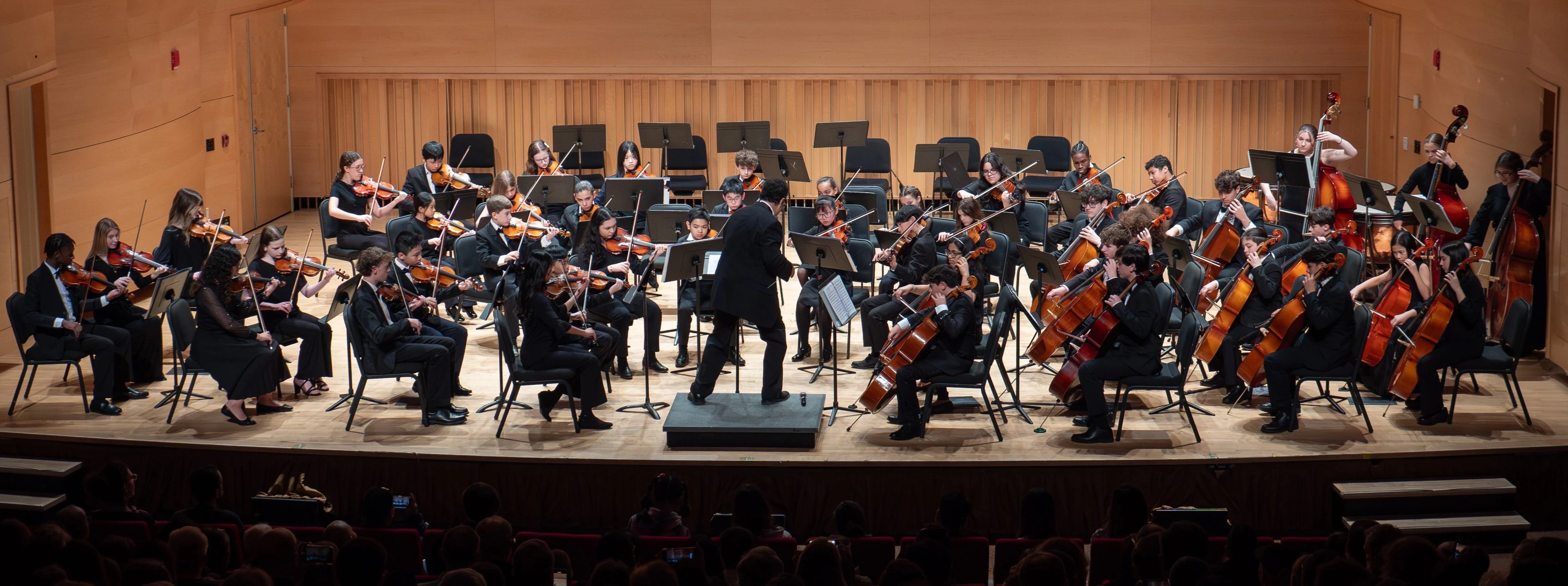 Gemini Youth Orchestra